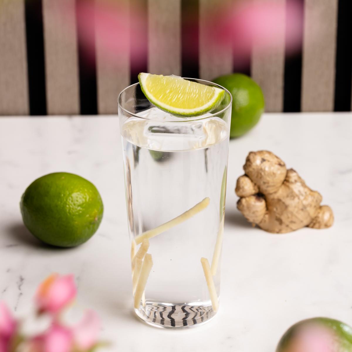 Roku Gin and Tonic 